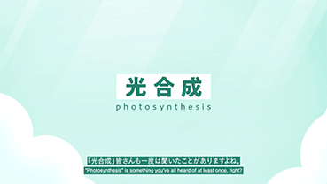 Play the video "Photosynthesis"